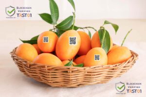 Mango Traceability TRST01