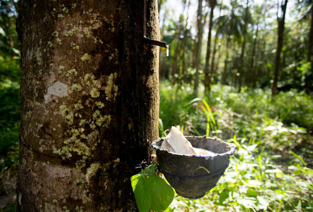 Why is sustainability required in the rubber industry?