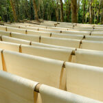 Introducing TRST01Chain