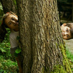 EUDR Compliance in Indian Trade