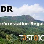 EUDR and India Rubber Export