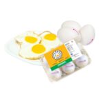 The Kenko Eggs A Case Study