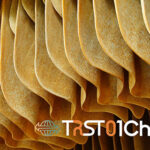 Supply Chain Innovation TRST01Chain