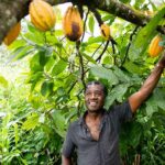 Driving Global Impact: Regulation, Technology, and Adoption