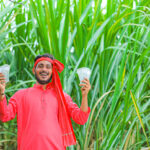 Sugarcane farmer in western Uttar Pradesh using a mobile app amid green cane fields under Kisan Samrudhi Carbon Credit Yojana